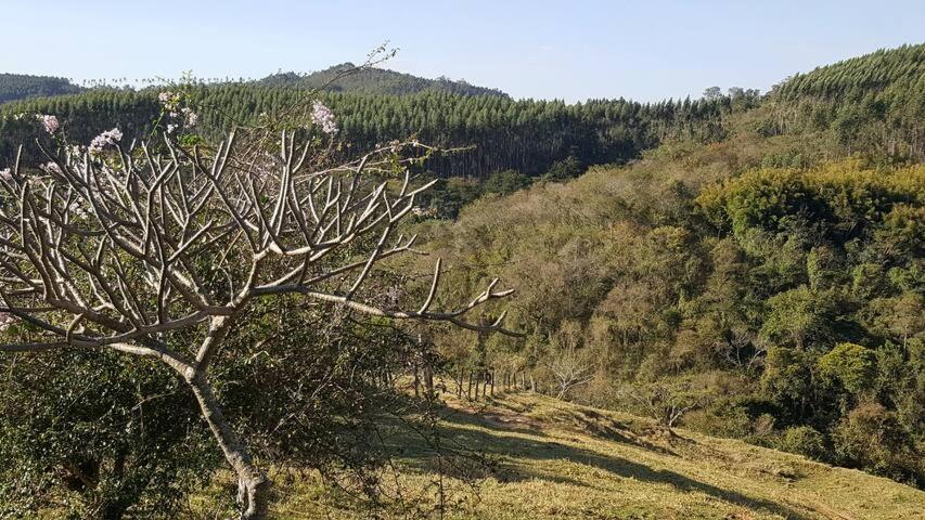 Sitio Alvorada - Paraiso Localizado No Circuito Das Aguas Paulista Amparo  Buitenkant foto
